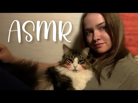уютный асмр с Каштанчиком для твоего расслабления 😴🛏️