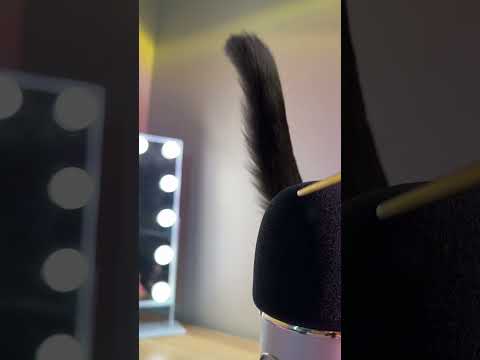 Cat ASMR | Animal ASMR #shorts #relax #cat