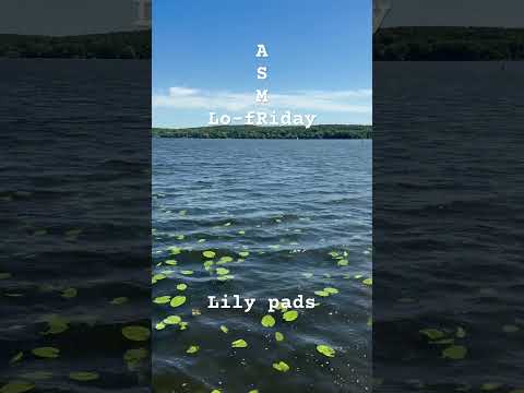 Lo-fRiday ASMR 🌙 Lily pads and soft waves #asmr #asmrtingles #lofiasmr #watersounds #waves #relax