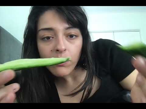 1-Minute ASMR | Chop H*e Eats Cucumber for a Minute (Chewing Noises, Dialogueless, Lofi)