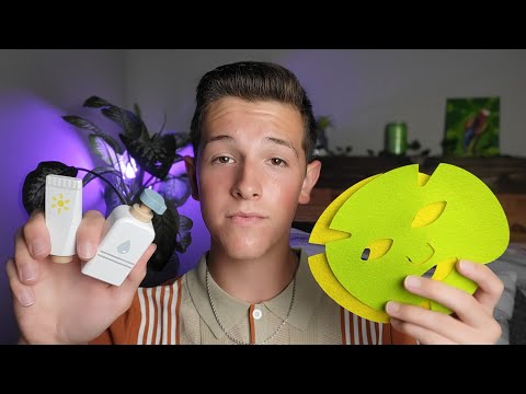 ASMR Caring Friend Does Your Wooden Skincare