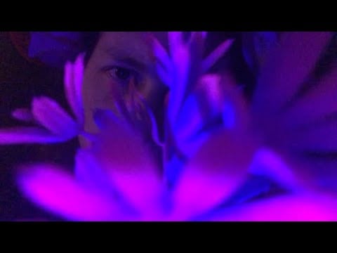 ASMR Fungi Takes You On A Colorful Trip Roleplay {inaudible whispering, follow directions,taps, etc}