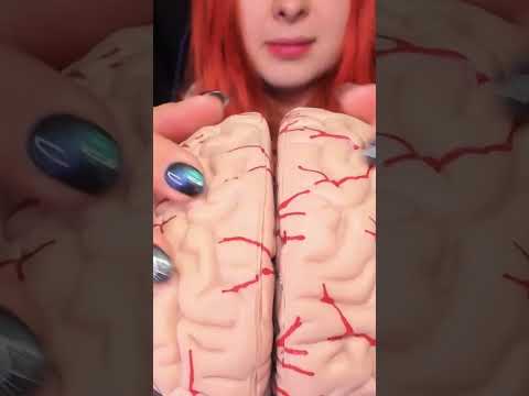 ASMR 🧠 BRAIN TINGLES... Literally! Sleep & Relaxation #asmr #shorts