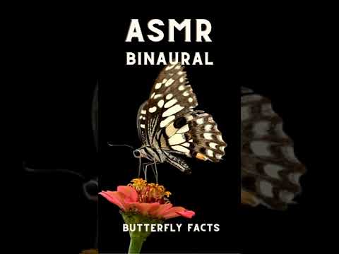 Up close whispers ASMR #Shorts