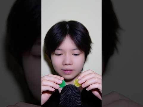 GẤU ASMR 🦠🦠 #gauasmr #relax #sleep #triggersforsleep