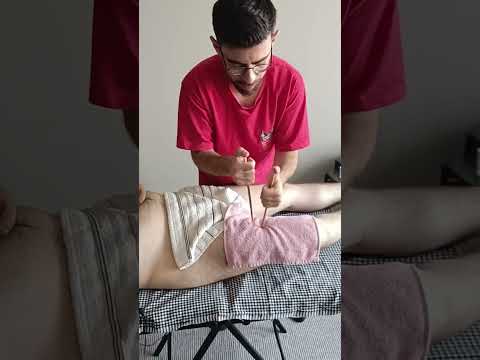 TURKISH MASSAGE THERAPY THAT RELIEVES STRESS FROM THE FRONT LEGS #satisfying #relaxing #asmr #shorts