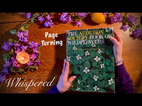 ASMR The Audubon Society book of Wildflowers (Whispered) Page turning/dust jacket crinkles.