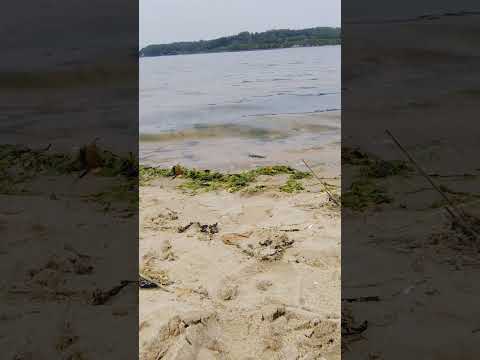 #ASMR WATER SOUNDS #fy #fyp #fypシ #fypシ゚viral