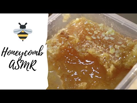 EATING HONEYCOMB 🍯ASMR