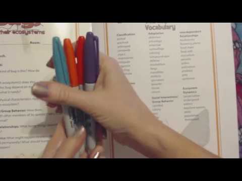 ASMR Roleplay ~ Helping You Start a Class Assignment (Reading / Soft Spoken)