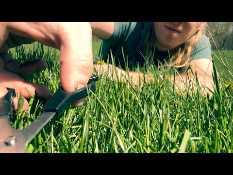 ASMR | How Barbers Cut Their Grass