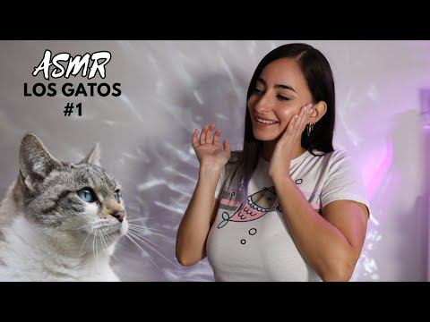 4K ASMR Educativo 🐱 20 CURIOSIDADES DE LOS GATOS 😻 CONOCIENDO a los GATOS [Soft Spoken]