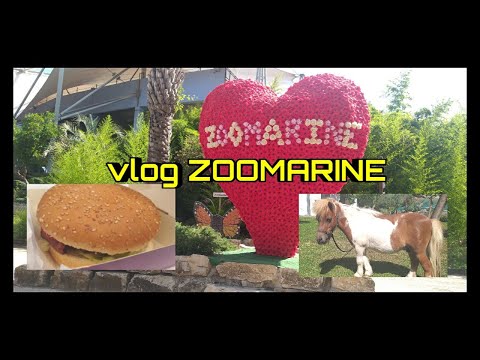 🇮🇹• VLOG, UNA GIORNATA A ZOOMARINE 🐬 (no ASMR)