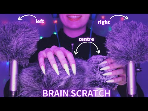 Asmr Mic Scratching - Brain Scratching | Hypnotic Asmr No Talking for Sleep with Long Nails 1H