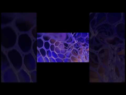 ASMR Spiderweb trigger for sleep😴💤 #asmr #relax #mouthwhisper #asmrrelaxation #tingles #visualtingle