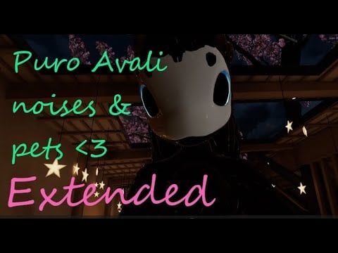 Furry ASMR | Puro avali pets you and makes cute noises extended
