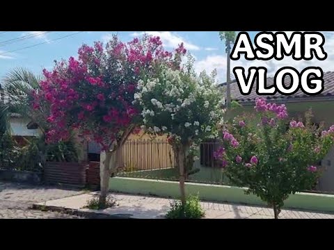 ASMR-VLOG CAMINHADA #asmr #somdechuvaparadormirrapido #relax #sonsdeboca #arrepios