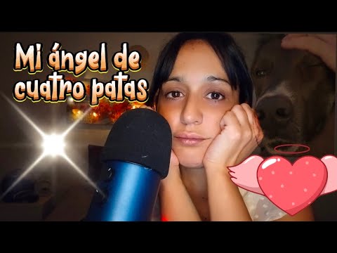 Hasta siempre, mi ángel de cuatro patas 🐾💖 ASMR 