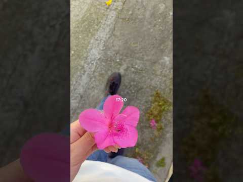 Fragmentos de 2 dias #rotinadodia #fyp #grwm #vlog