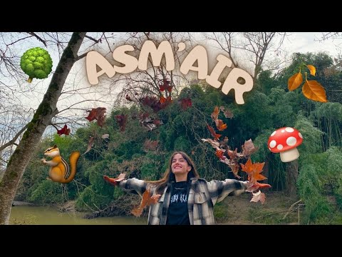 ASM'AIR 1 | Balade relaxante dans la forêt 🌳🍄🐿️