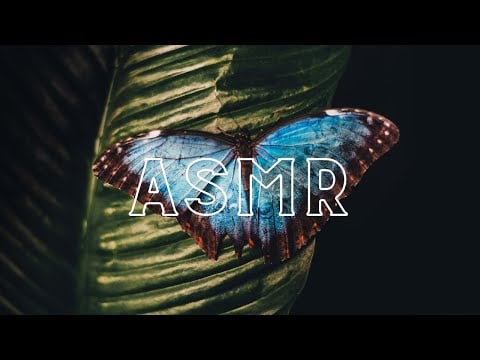Binaural whispered facts about Butterflies ASMR