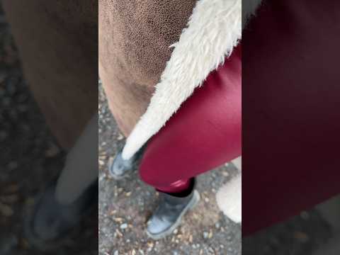 ASMR wandern mit einer glänzenden Hose, die ich zum ersten Mal probiere. 💞