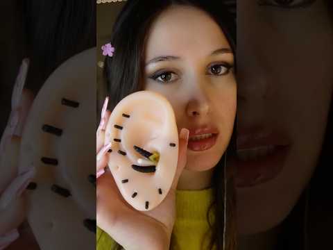 Pas étonnant que t’étais à moitié sourd ! 🦻🏻✨ #asmr #relaxingsounds #asmrbruna #earcleaning