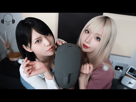 【ぽにょ皇子 & KURU】 Ear cleaning for two【ASMR / 4K】