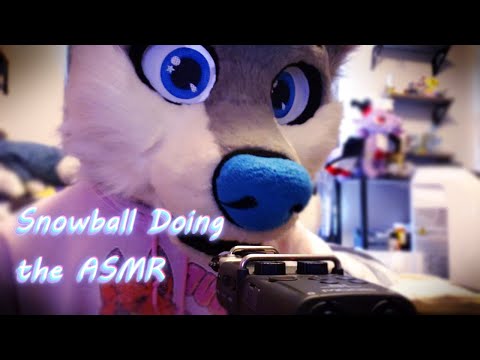 Paw sounds and snowball rambling :3