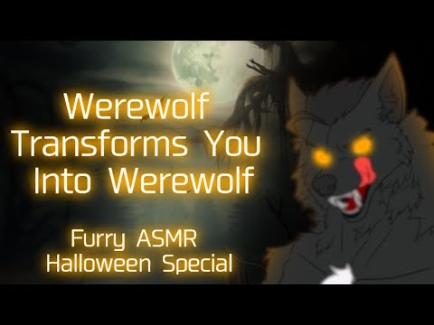 [Furry ASMR] Halloween Special | Werewolf Turns You Into Another Werewolf (Ear Licks, Noms)