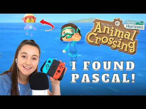 ASMR | Let's Go Swimming & Diving / Animal Crossing New Horizons