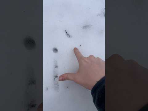 asmr snow tracing love letters… 💘❄️