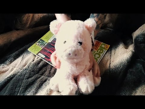 ASMR CASEIRO SONS DE BOCA E REVISTA (no talking) - Mori Yumi