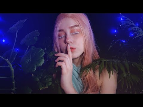 АСМР Лесная фея заботится о тебе, Персональное внимание | ASMR Forest Fae