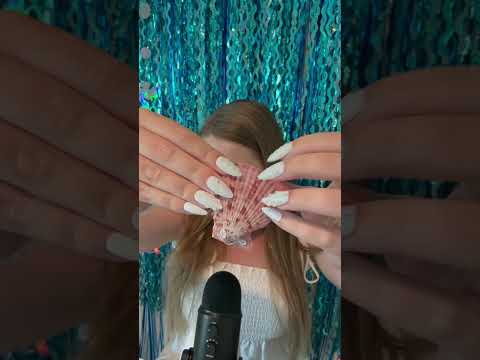 Which seashell do you prefer? 🐚💗 #asmr #asmrvideos #asmrsound #shorts #tinglesasmr