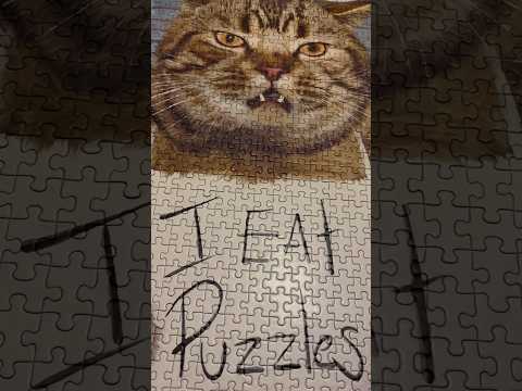 ASMR Tapping On A Cat Puzzle | (No Talking) #ASMR #Shorts