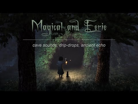 A dark cave in the forest.