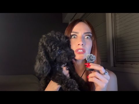 ASMR para DORMIR 💤 muchos susurros ✨🧚‍♀️