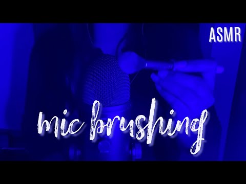 ASMR Mic Brushing (No Talking)