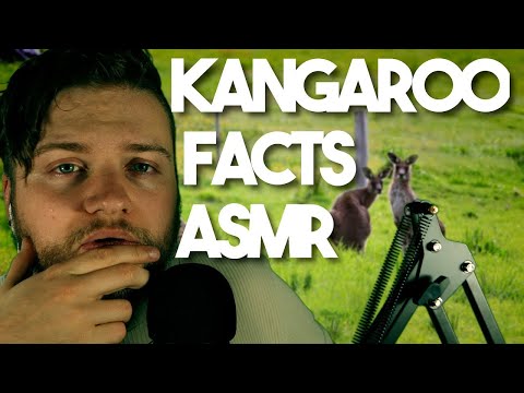 Whispering Facts about Kangaroos ASMR - Part 1