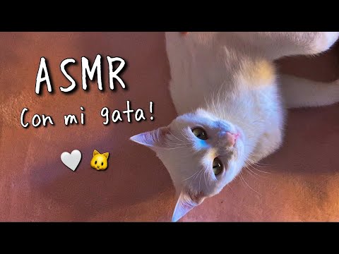 ASMR con mi gatita 🐱🤍