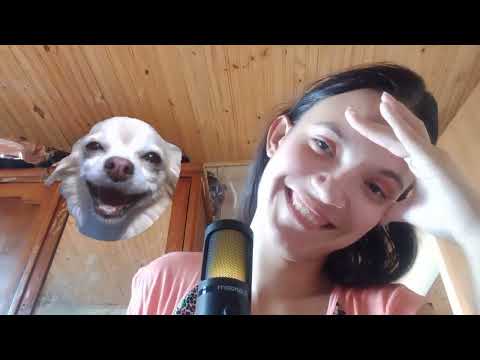 Erros De Gravação Do Asmr #errosdegravaçao #errosdegravação #errosdegravacao #engraçados