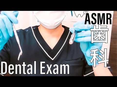 ASMR🦷Teeth Cleaning and Pediatric Dental Exam RP-小児歯科検診ロールプレイ-