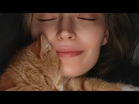 📢Late Night Petting 📢 #asmr #asmrtriggers #cat #shorts #shortsfeed