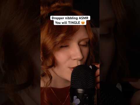 Dropper nibbling ASMR Mouth sounds 😍🥱