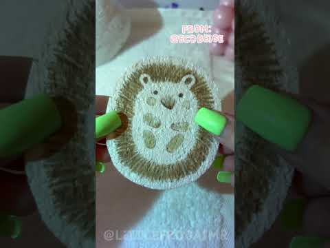 HEDGEHOG SPONGE 🦔🧽 #asmr #satisfying