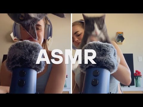 ASMR But My Cats Try to Takeover