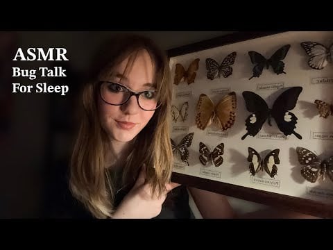(ASMR) Butterfly Inspection