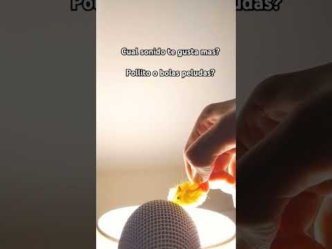 Pollito o bolitas peludas?? ASMR