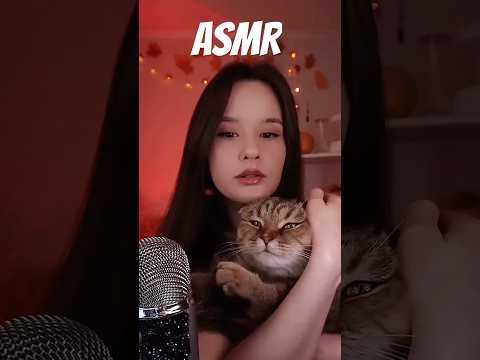 ASMR CAT purring Шепот и кошка